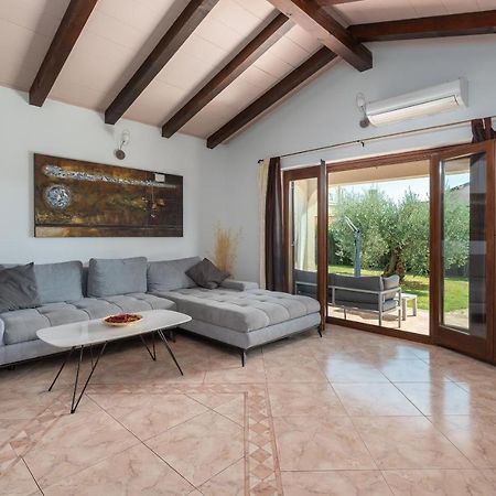 Villa Lucas Novigrad Istria 外观 照片